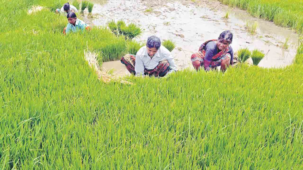 రుణమాఫీ 11,812 కోట్లు