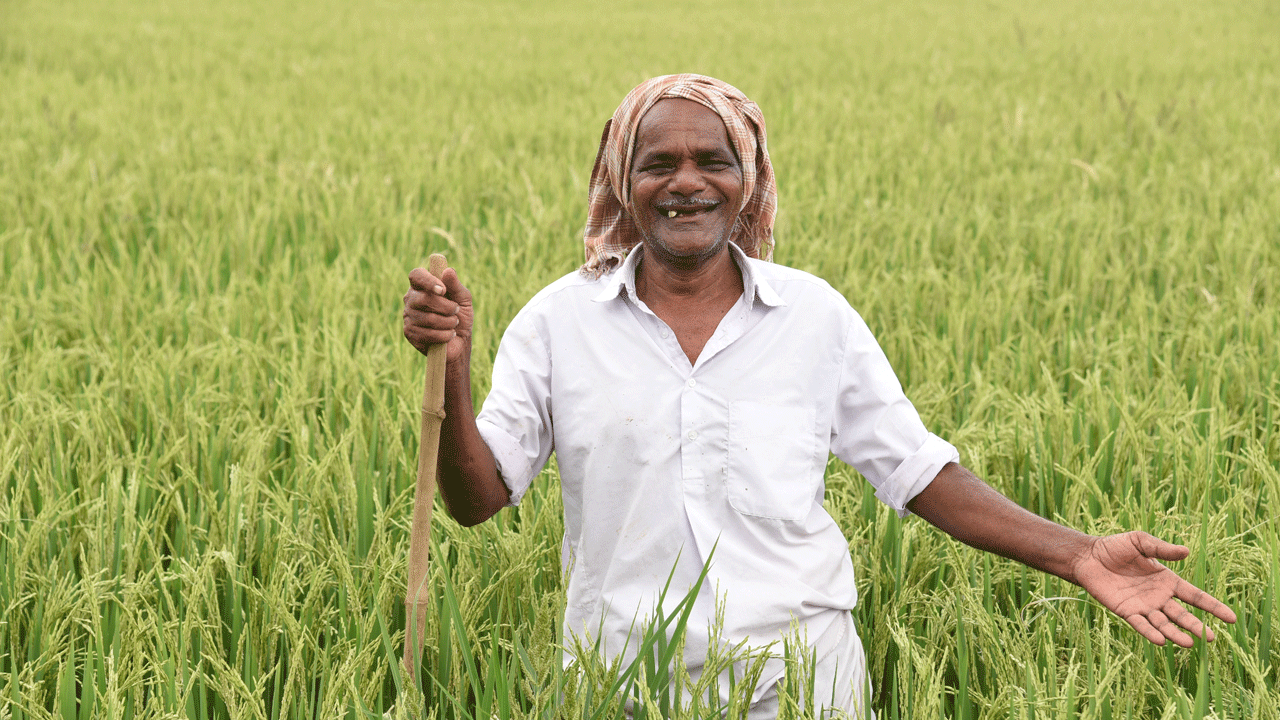సుజలం.. సుఫలాం.. సస్యశ్యామలం