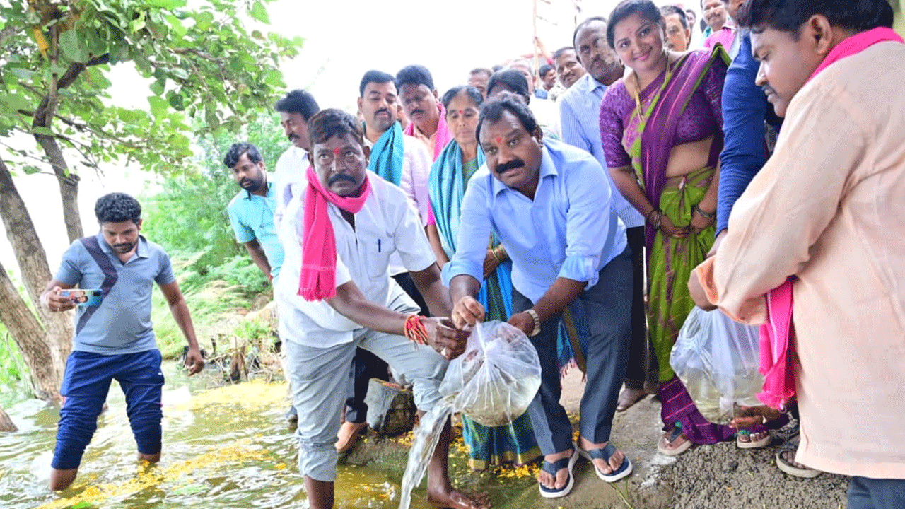 MLA Aruri Ramesh | అన్నారం చెరువులో చేప పిల్లలు వదిలిన ఎమ్మెల్యే అరూరి  రమేష్‌