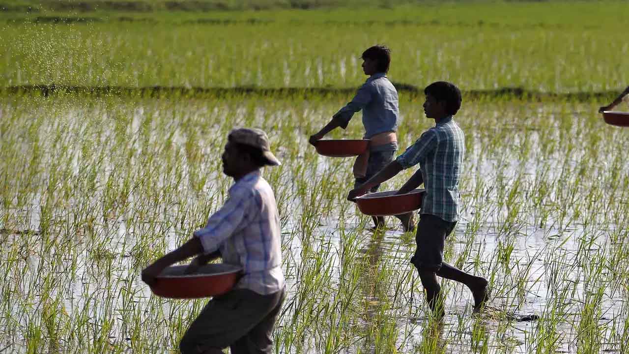 Food Crisis |  ఆహార సంక్షోభం దిశగా భారత్‌.. దేశంలోని 57 శాతం ప్రాంతాల్లో వర్షాభావ పరిస్థితులు