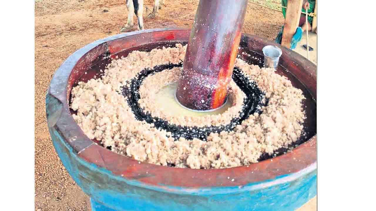 గానుగ నూనె భళ!