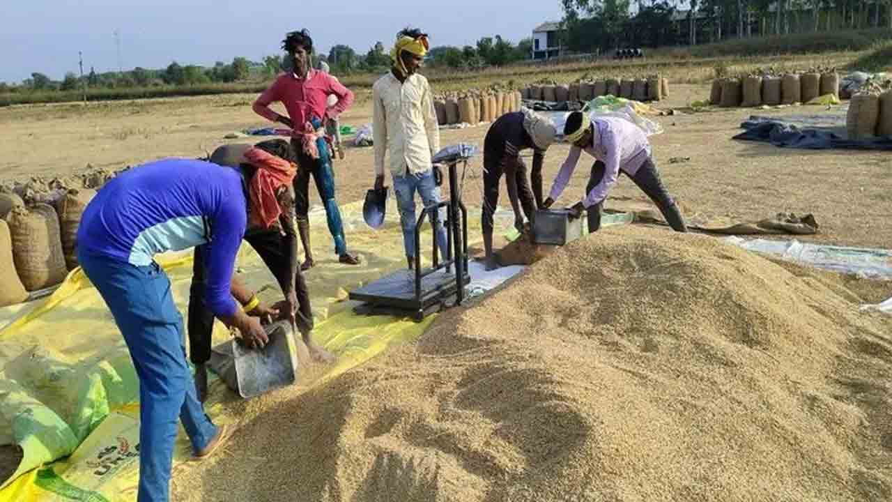 FIC | ధాన్యం, బియ్యం ఉత్పత్తికి కేరాఫ్‌గా తెలంగాణ.. పంజాబ్‌ తర్వాత రాష్ట్రంపైనే ఆధారపడుతున్న యావత్‌ దేశం: ఎఫ్‌సీఐ
