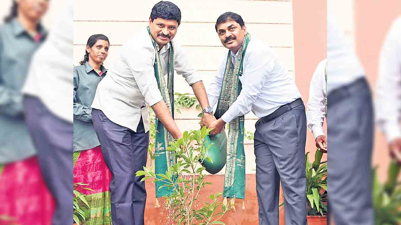 గ్రీన్‌ ఇండియా చాలెంజ్‌ అద్భుతం