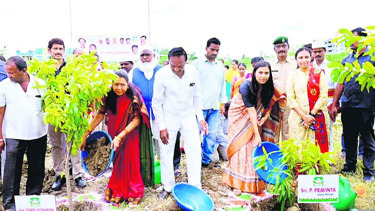 లక్ష్యానికి మించి.. హరితహారం టార్గెట్‌ 25,95,150.. నాటినవి 29,59,280