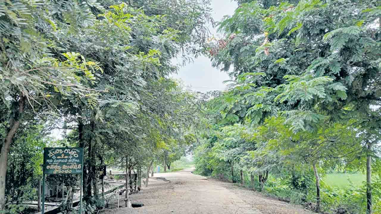 గ్రామాలకు పచ్చతోరణం