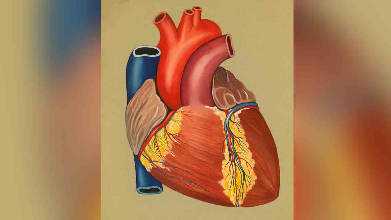 గుండె జరభద్రం