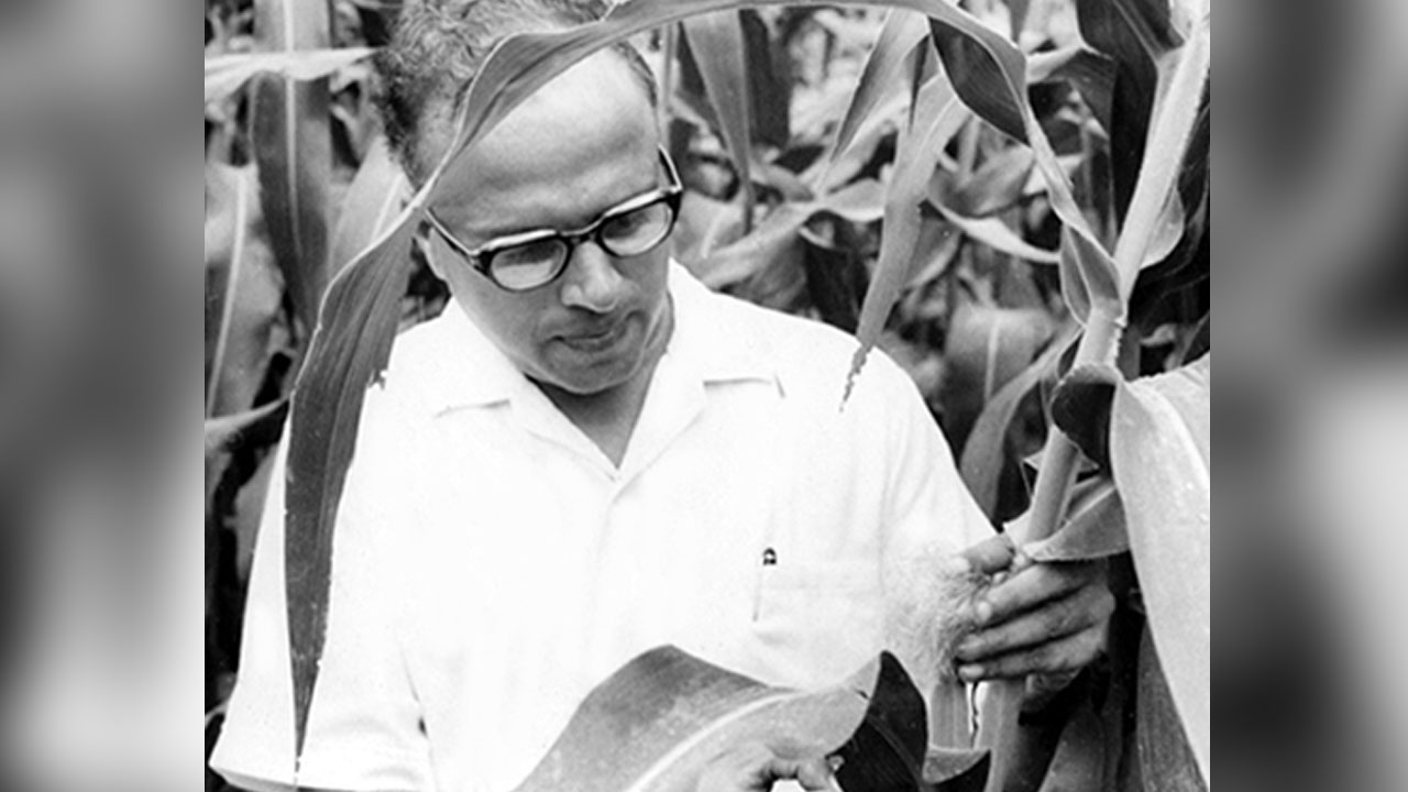 MS Swaminathan: హంగ‌ర్ ఫైట‌ర్‌.. ప్రొఫెస‌ర్ మానకొంబు సాంబ‌శివ‌న్ స్వామినాథ‌న్‌