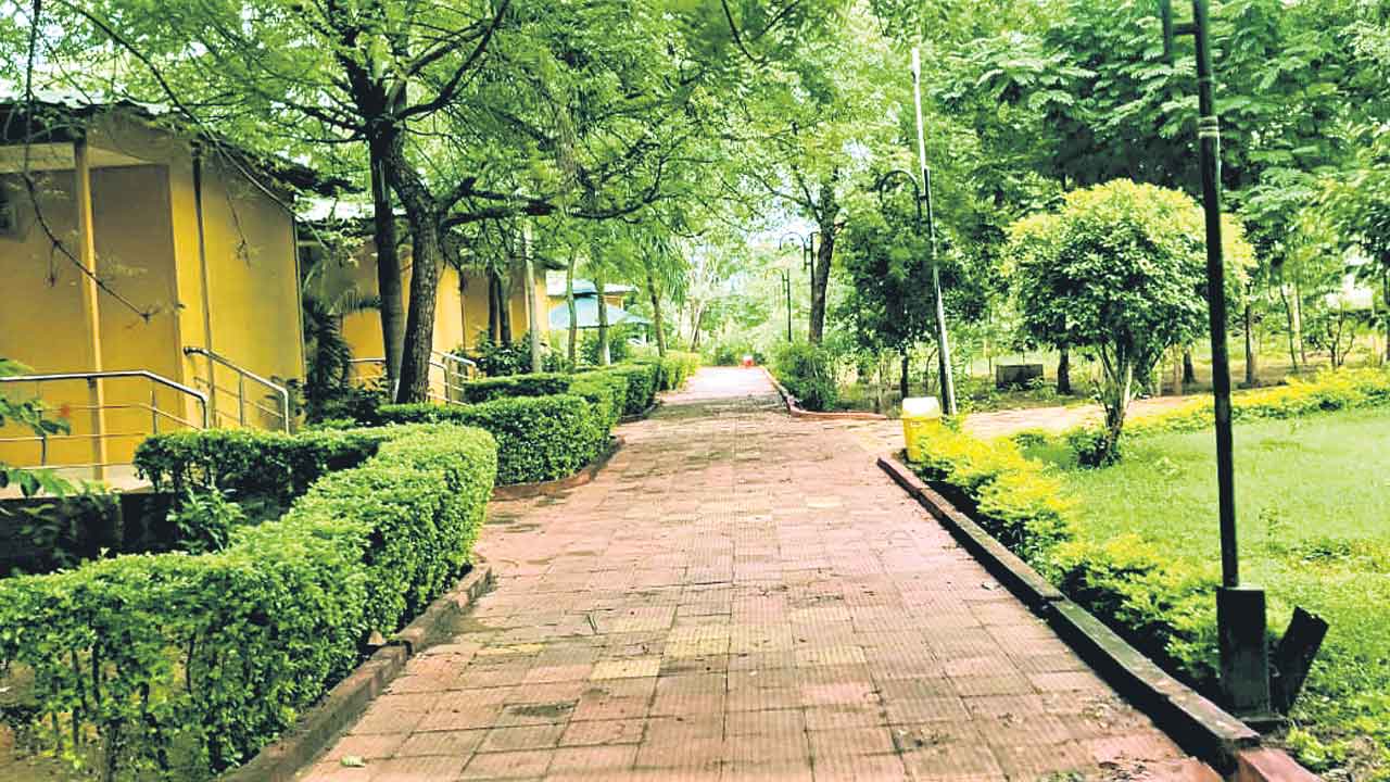 ప్రకృతి సోయగం