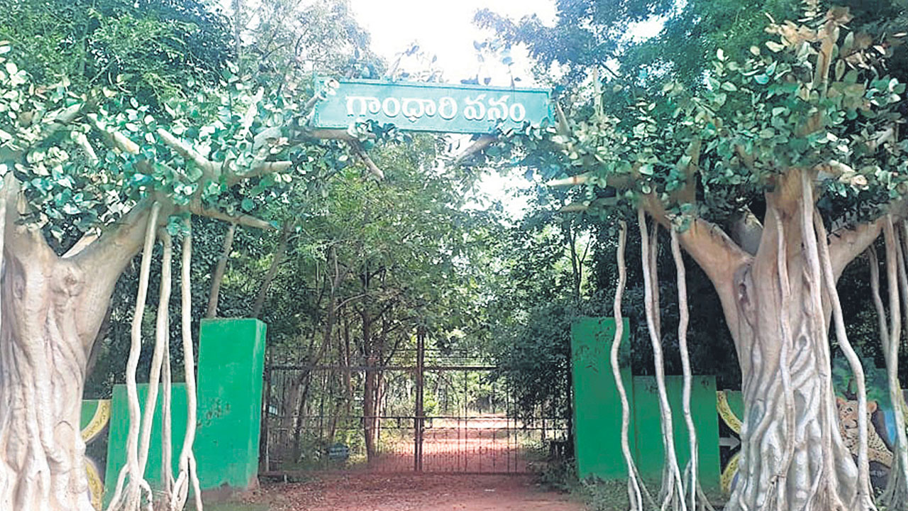 కళ్లు చెదిరేలా.. కేసీఆర్‌ ఎకో అర్బన్‌ పార్క్‌