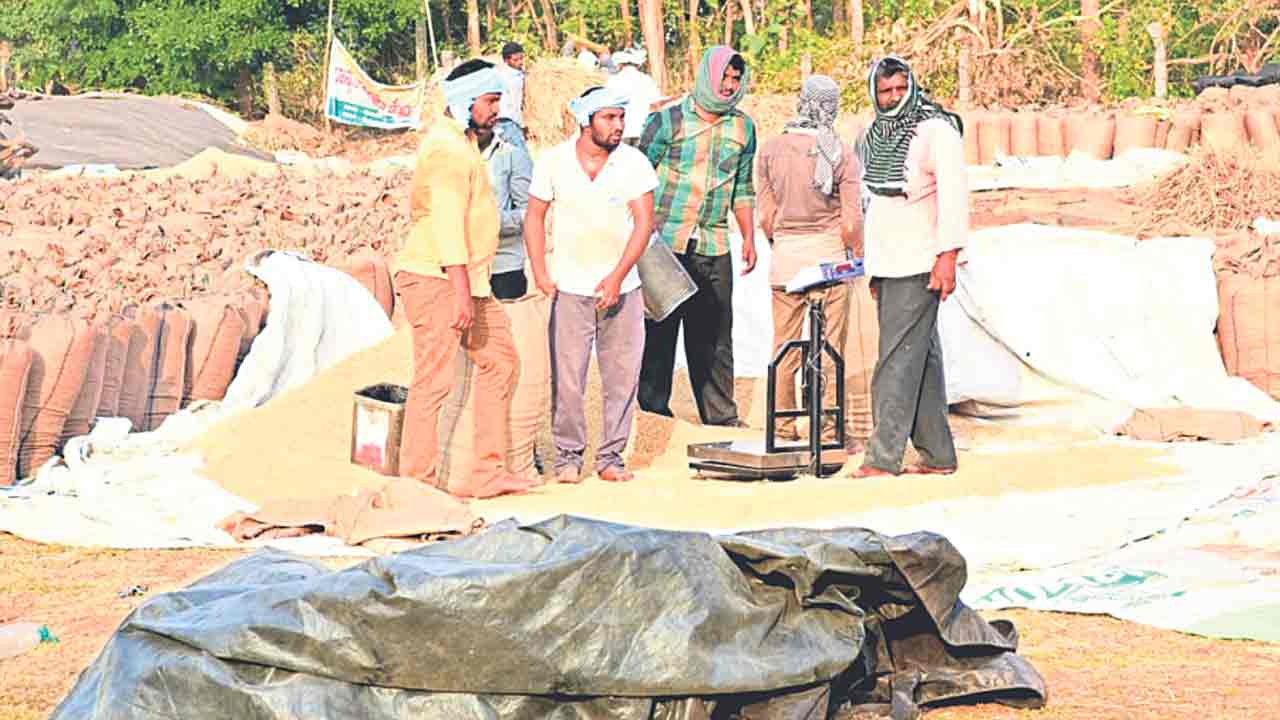 ధాన్యం సేకరణకు ప్రణాళిక ఖరారు