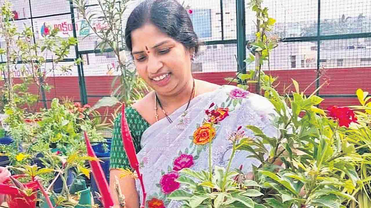 మిద్దెతోట మమత