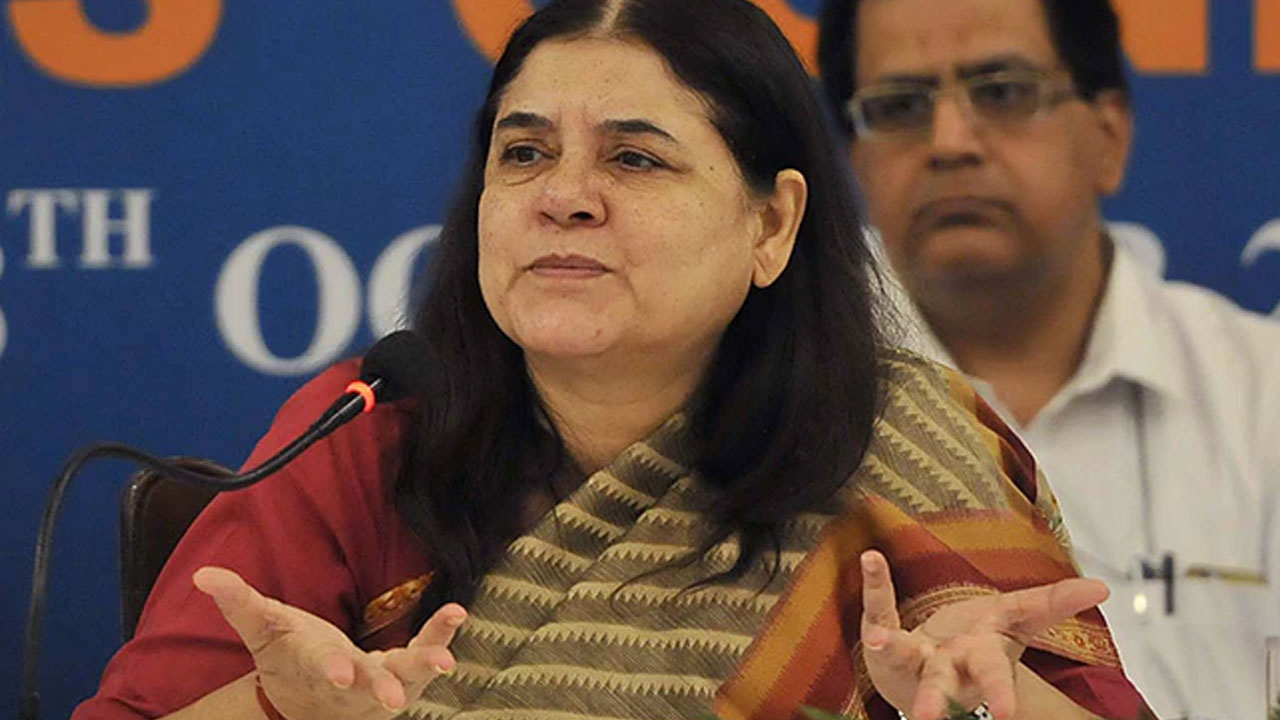 Maneka Gandhi: కబేళాలకు గోవుల్ని అమ్ముకుంటున్న ఇస్కాన్: బీజేపీ ఎంపీ మేనకా గాంధీ