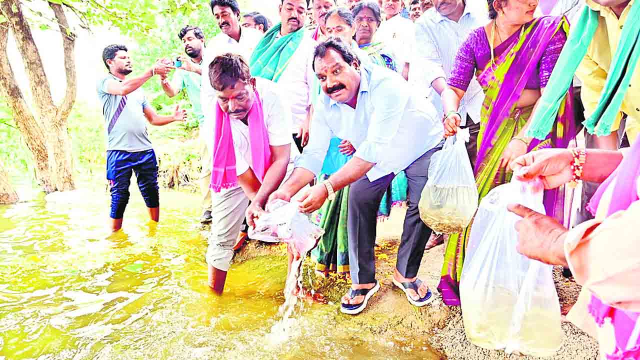 మత్స్యకారుల అభ్యున్నతికి సర్కారు కృషి