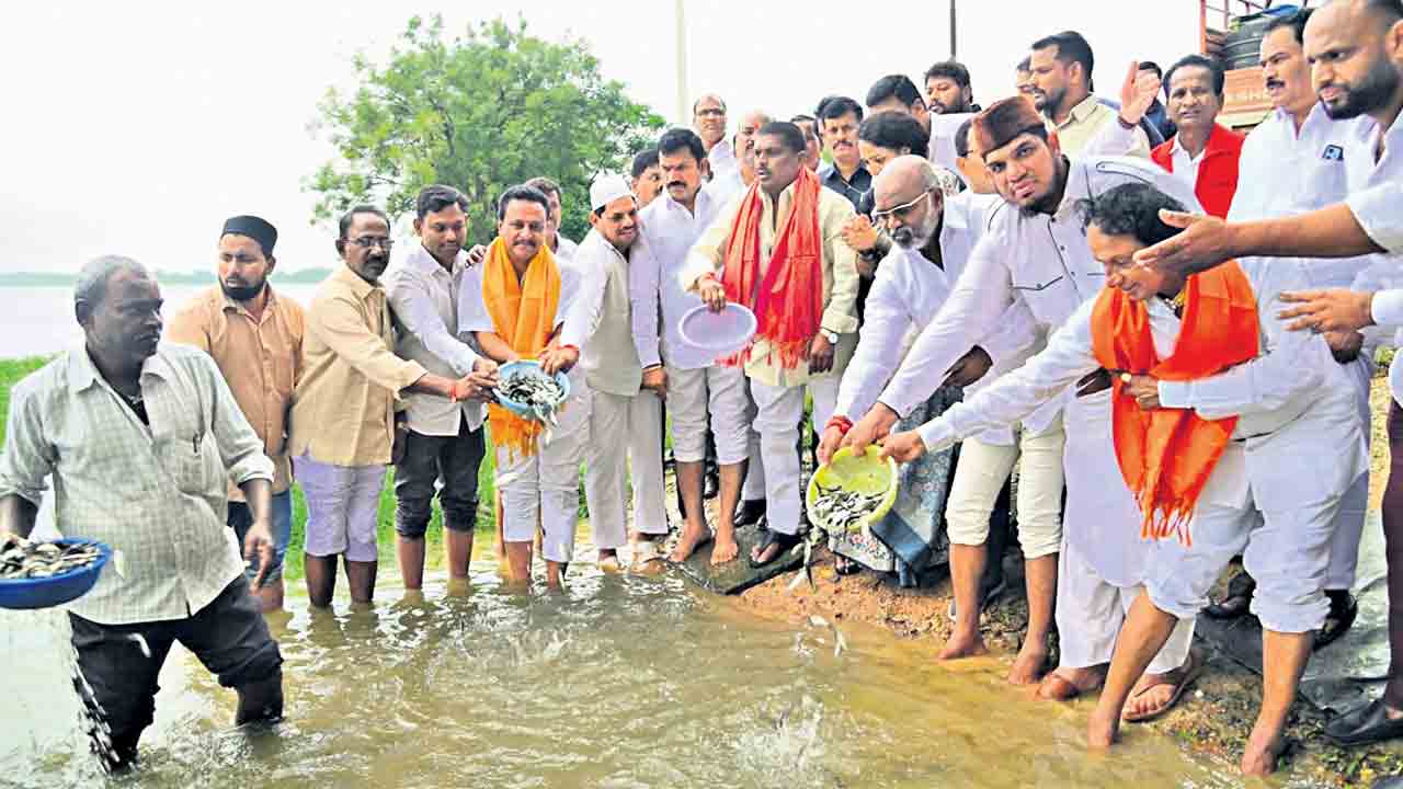 చేప పిల్లల పంపిణీతో.. ఉపాధి