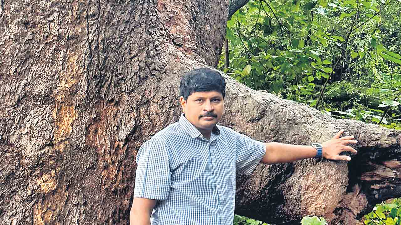 150 ఏండ్ల మామిడి చెట్టును సందర్శించిన ఎంపీ సంతోష్కుమార్
