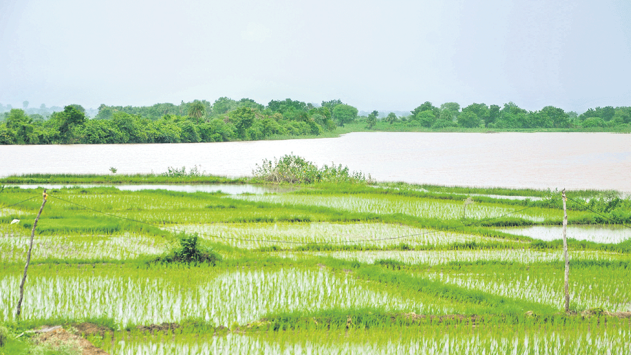 సాగునీటి రంగం.. ఉపాధికి ఊతం..