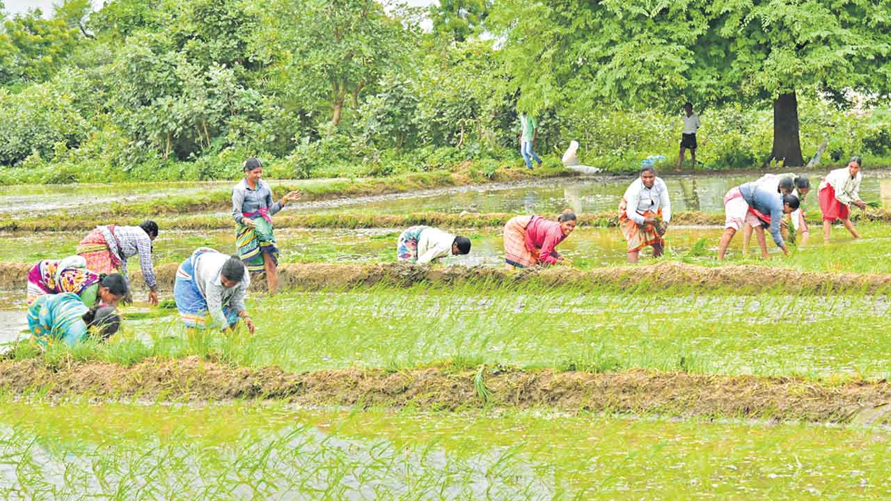 లక్ష్యానికి మించి..
