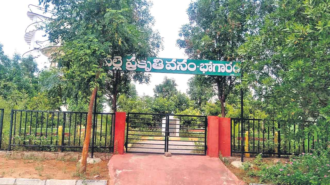 పల్లె పరవశం ఊరూరా పల్లె ప్రకృతి వనాలు