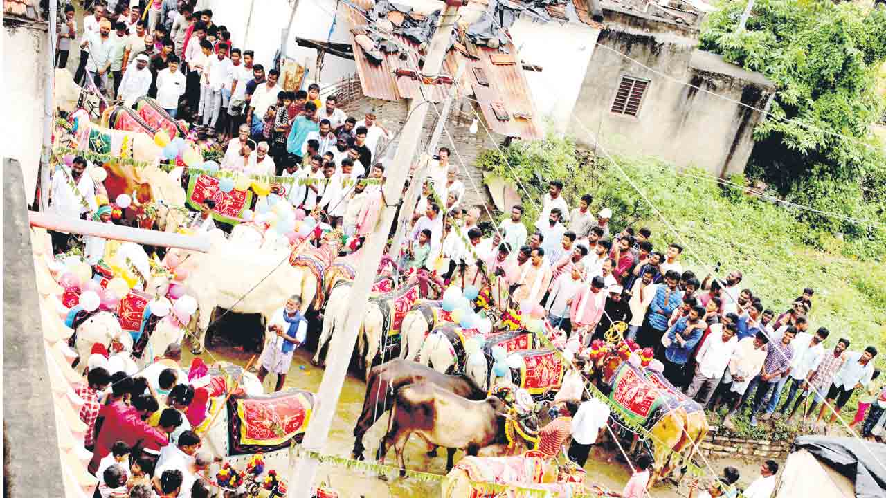 వైభవంగా పొలాల పండుగ