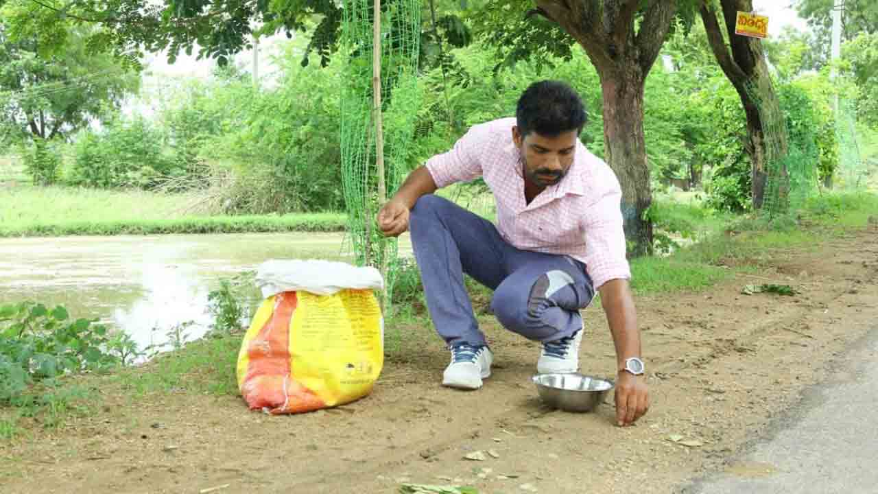 Telangana | ప్రకృతి కోసం ఎనిమిదేండ్లుగా అంకితం.. ఇప్పుడు భార్యాపిల్లలు కూడా అతని బాటలోనే