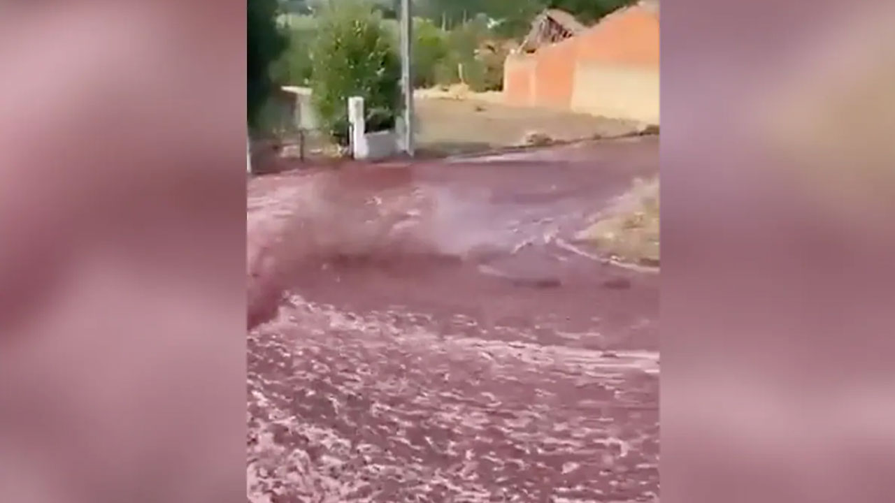 Red Wine: భీక‌ర వ‌ర‌ద‌లా వీధుల్లో ప్ర‌వహించిన రెడ్ వైన్.. వీడియో