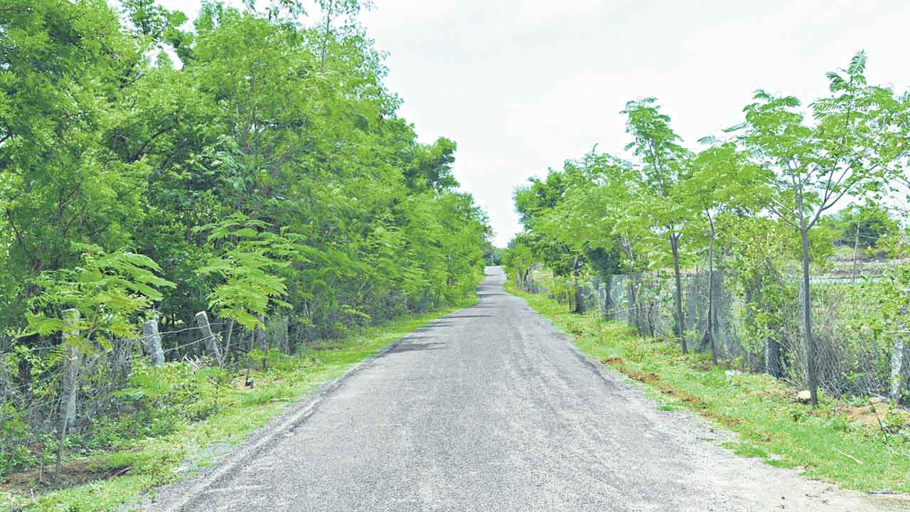 తాండాలకూ తారు రోడ్లు..