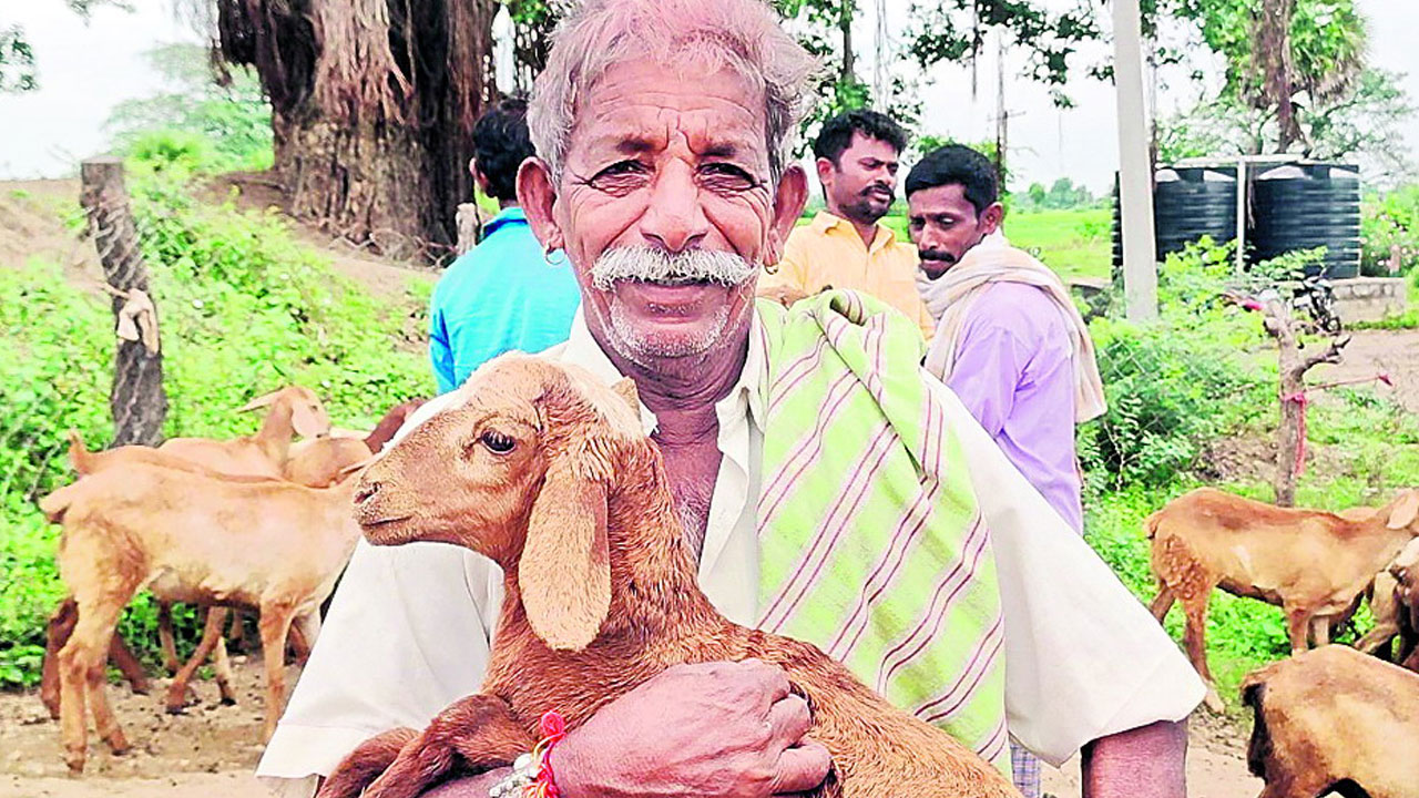 సర్కారు జీవాలే మా దైర్యం