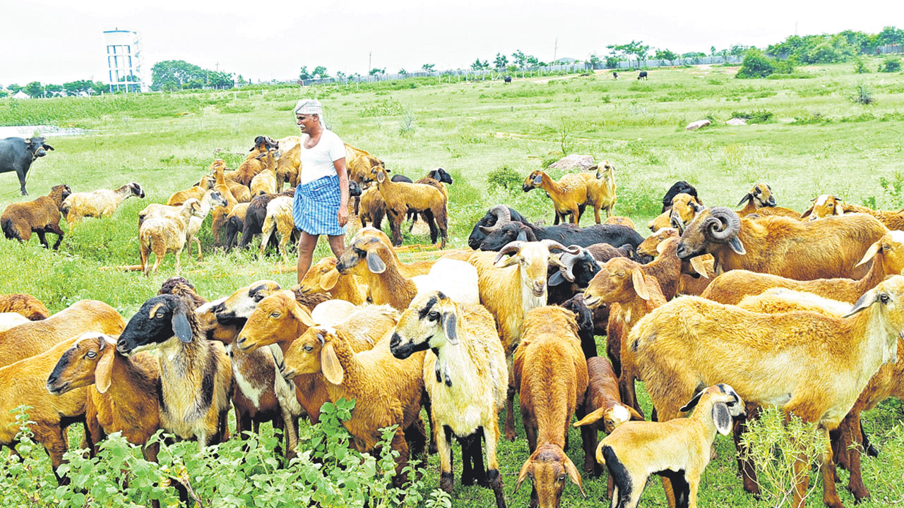 పదులు నుంచి మందలై.. సిరులిచ్చిన బంధువై..