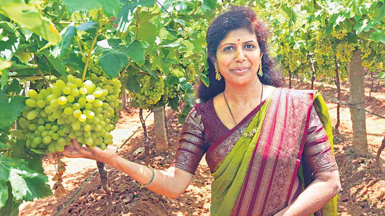 ఈమె పంటల డాక్టర్.. రైతన్నలకు సలహాలు కావాలంటే ఈమెనే సంప్రదిస్తారు!