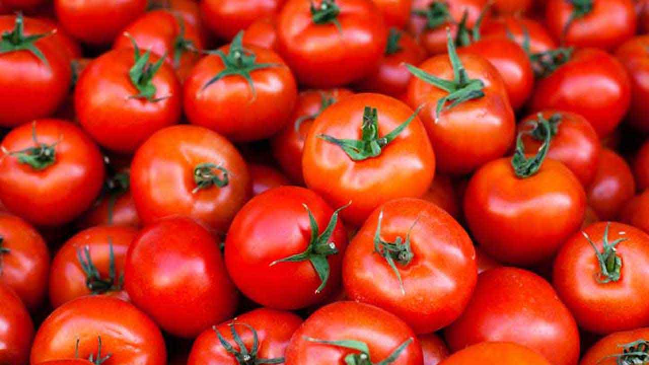 Tomato Price |  మూడు నెలల క్రితం కిలో రూ.300.. నేడు 30 పైసలకూ కొనే దిక్కులేదు