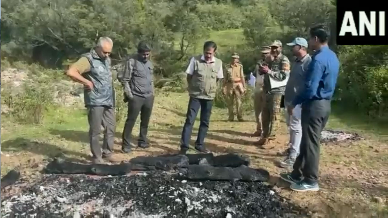 Tiger Deaths: 40 రోజుల్లో 10 పులులు మృతి.. రంగంలోకి టైగ‌ర్ క‌మిష‌న్