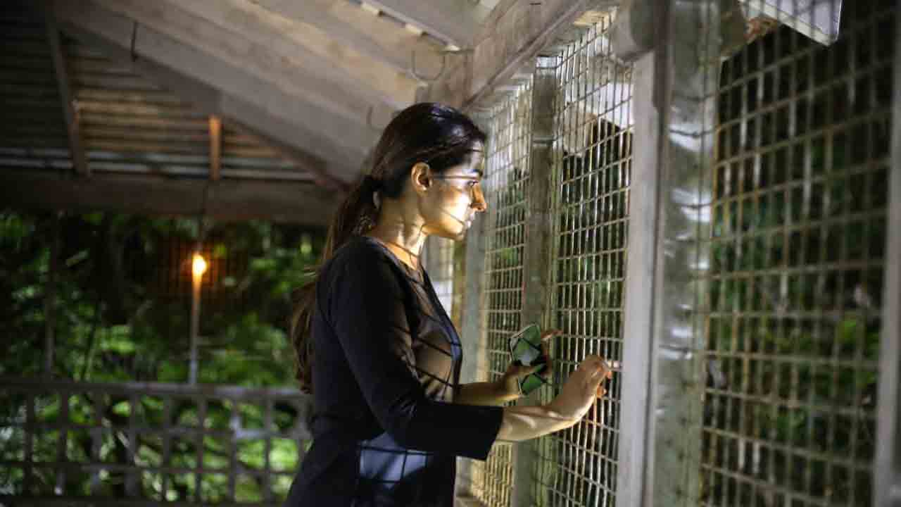 The Road Movie | రిలీజ్ డేట్ ఫిక్స్ చేసుకున్న త్రిష ‘ది రోడ్‌’ మూవీ