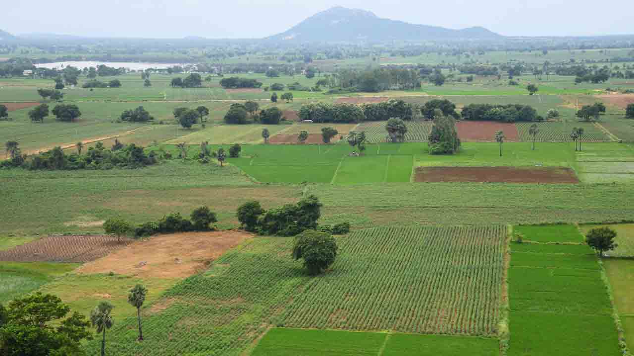 పోడు సాగుకు గిరివికాస్‌