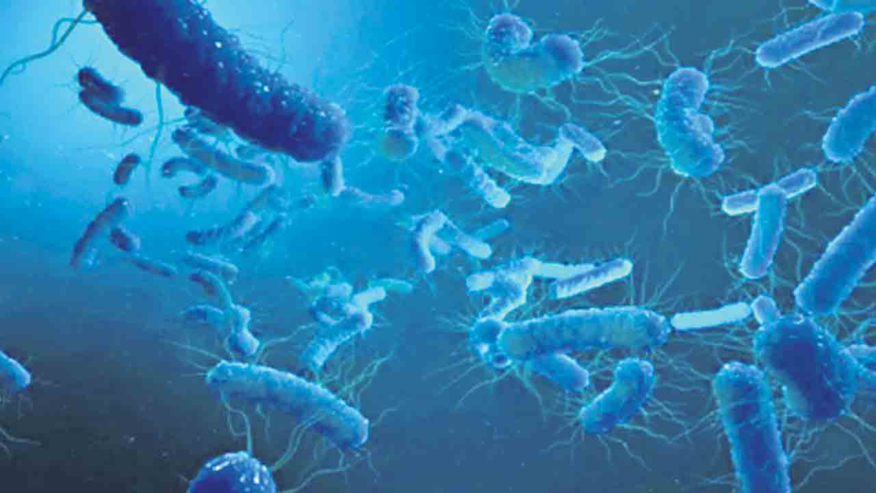 ఈ.కోలీతో కరెంటు ఉత్పత్తి