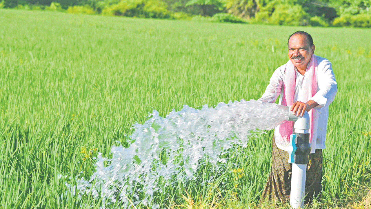 Water And Crops