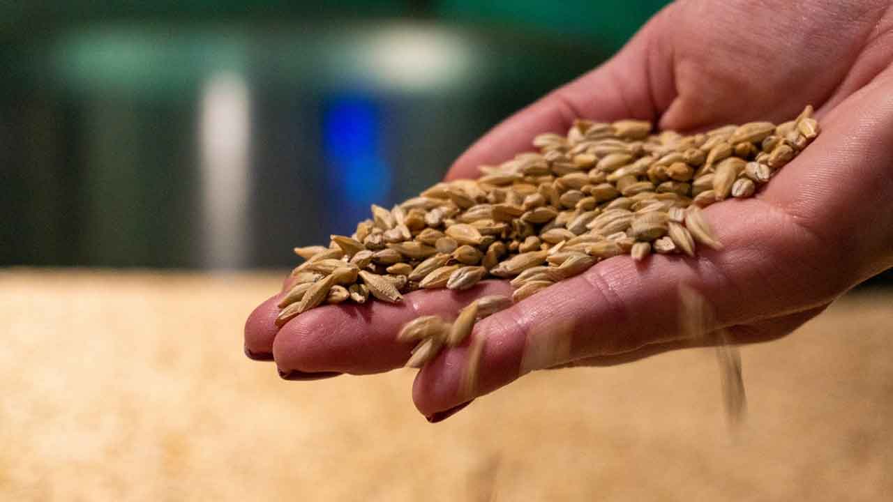 గోధుమల నిల్వపై మరిన్ని పరిమితులు