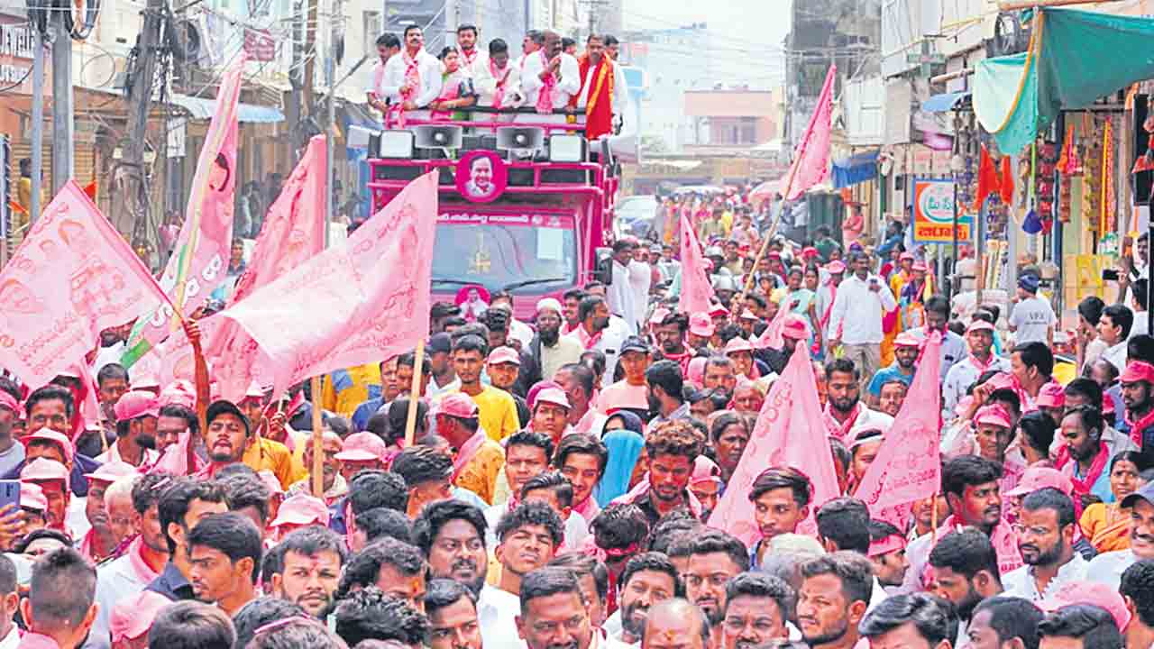 పటాన్‌చెరులో కదం తొక్కిన గులాబీదళం