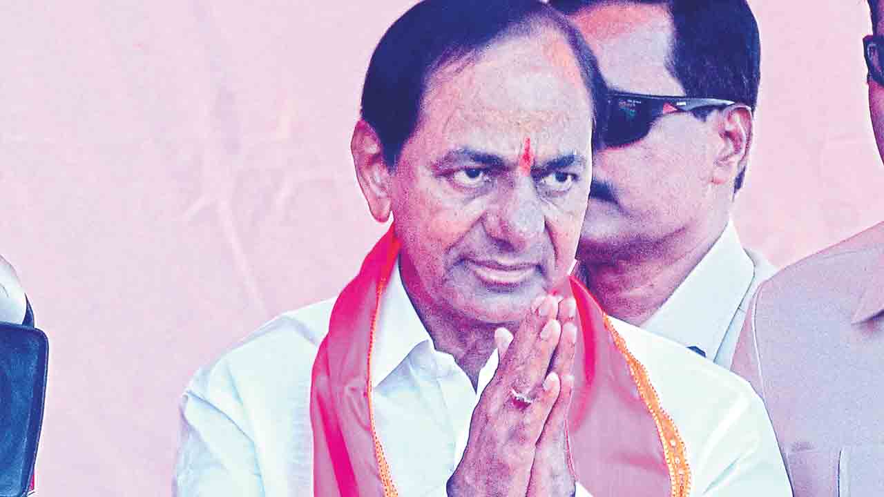 జుక్కల్‌లో.. గులాబీవనం