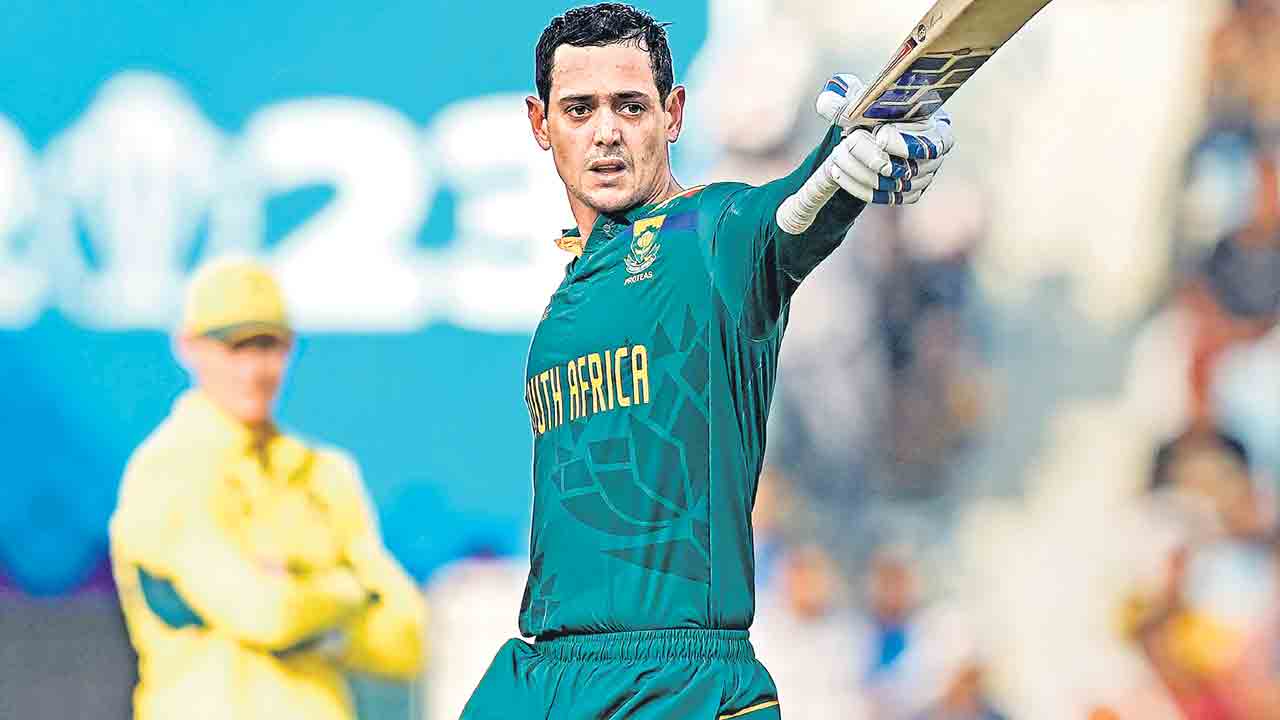 కంగారూలు సఫా