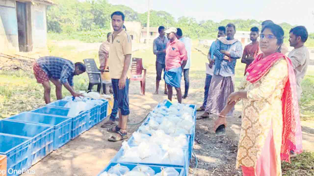 మత్స్యకారులకు ప్రోత్సాహం