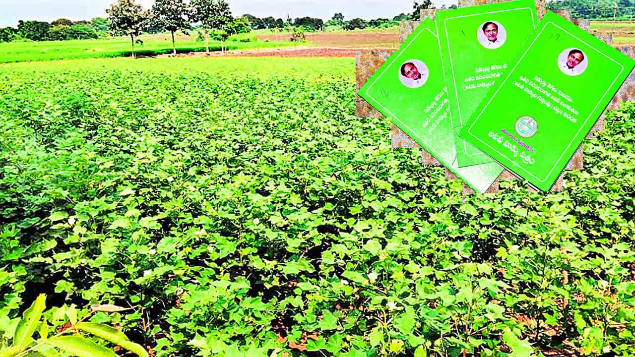 గిరిజనోత్సాహం