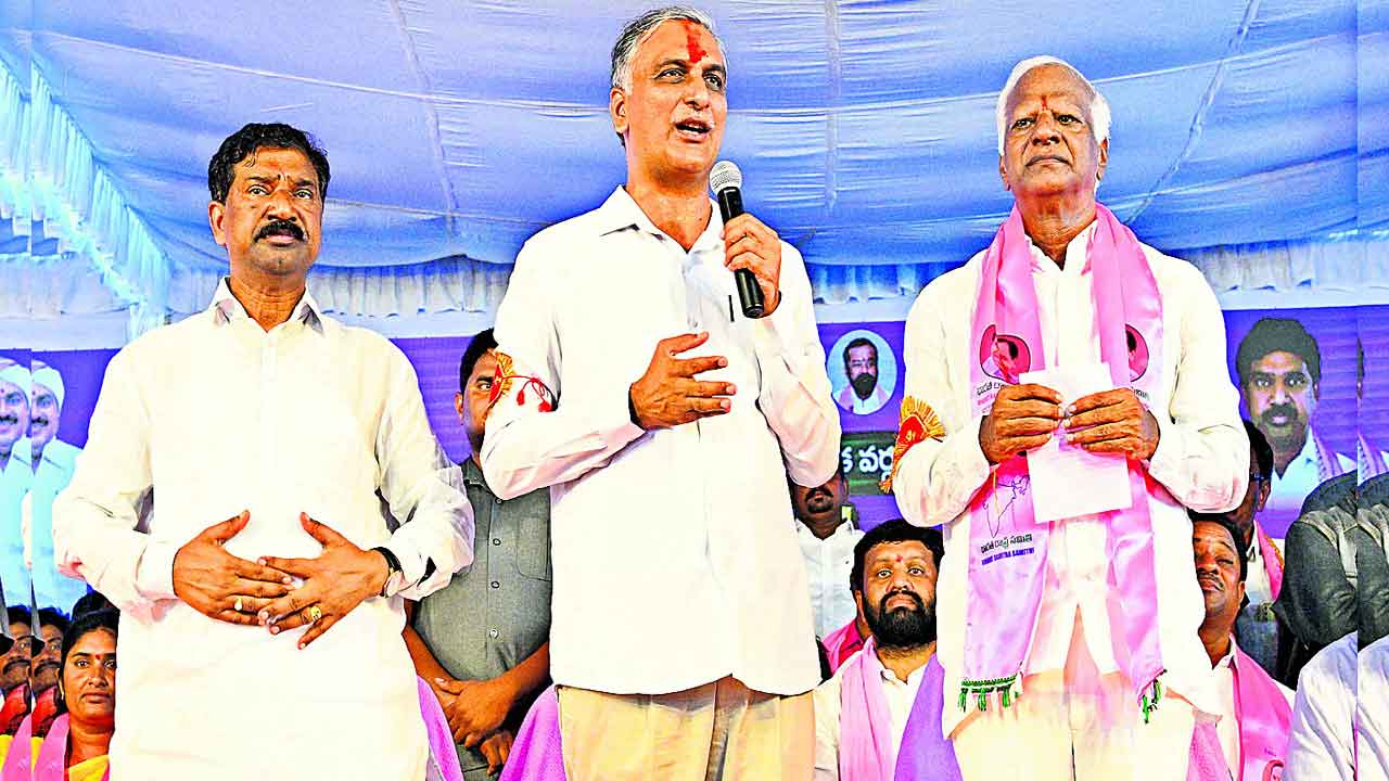 స్టేషన్‌ఘన్‌పూర్‌ గులాబీ కంచుకోట