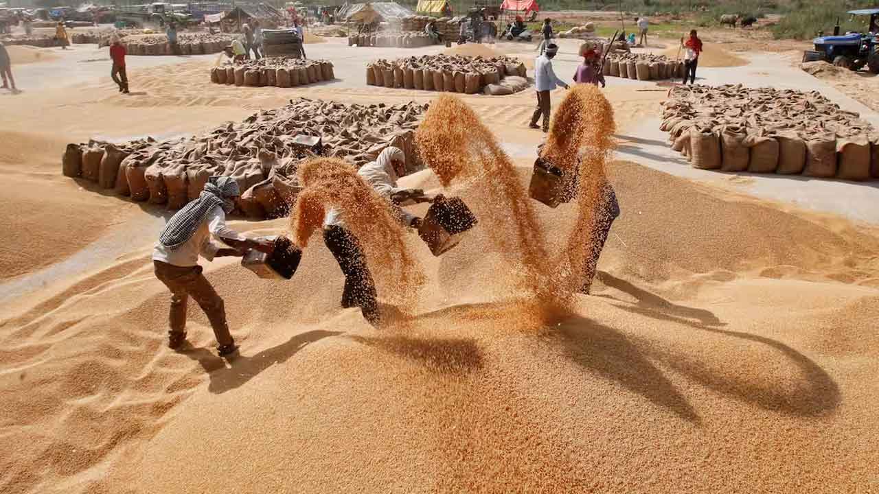 ధాన్యం విక్రయానికి మళ్లీ టెండర్లు