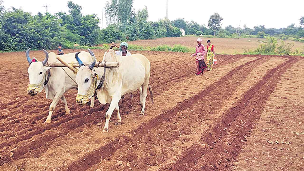 యాసంగికి సమాయత్తం