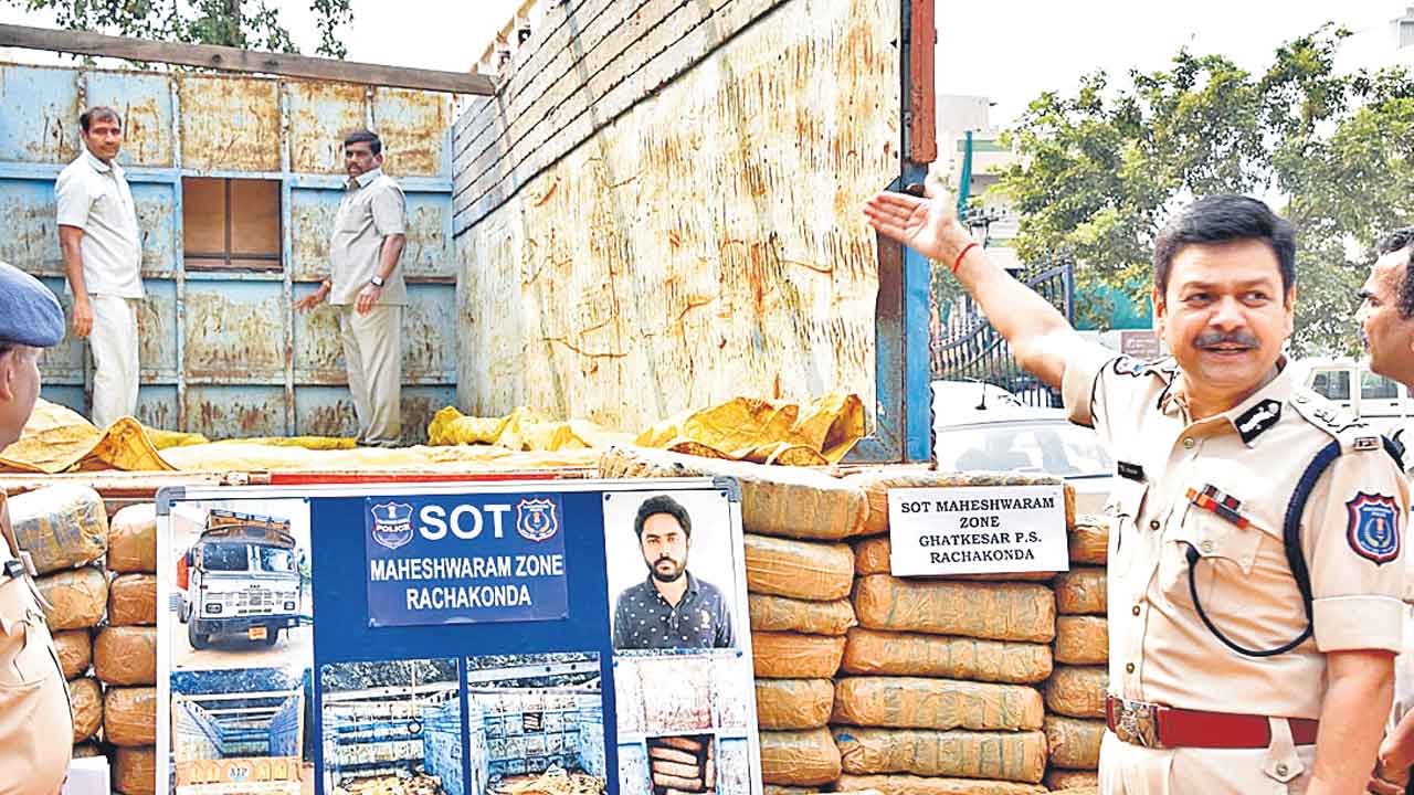 ఒడిశా నుంచి గంజాయి రవాణా