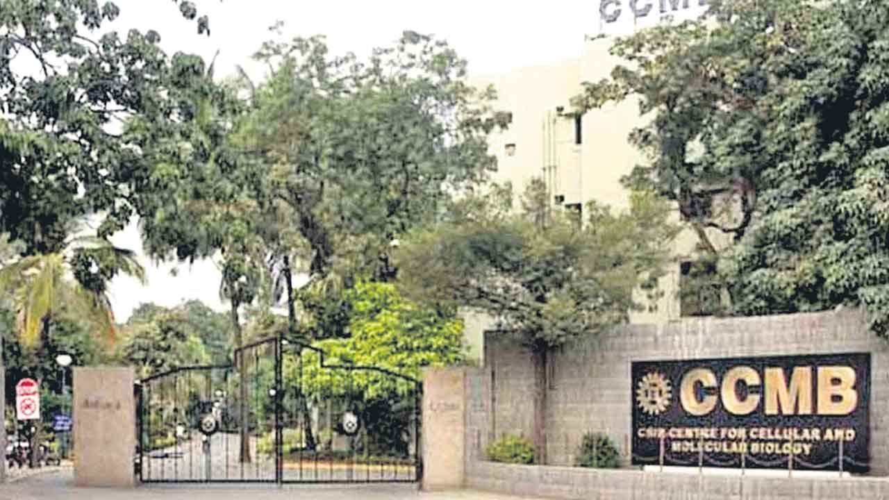 వయసు రీత్యా వచ్చే రుగ్మతలపై సీసీఎంబీ అధ్యయనం