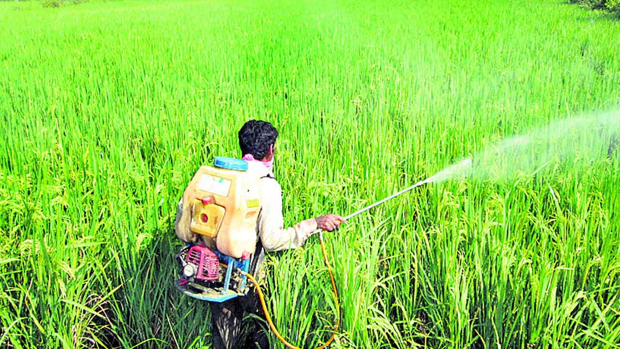 రైతులకు అండగా రైతుబంధు