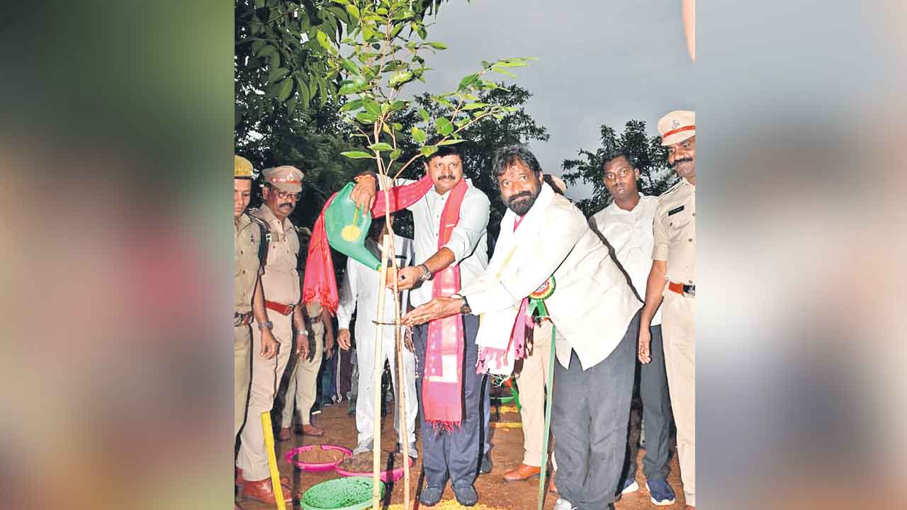 రాష్ట్రంలో పెరిగిన పచ్చదనం
