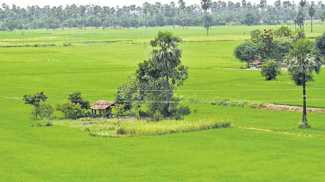మన పథకాలపై ‘మహా’ ఆసక్తి