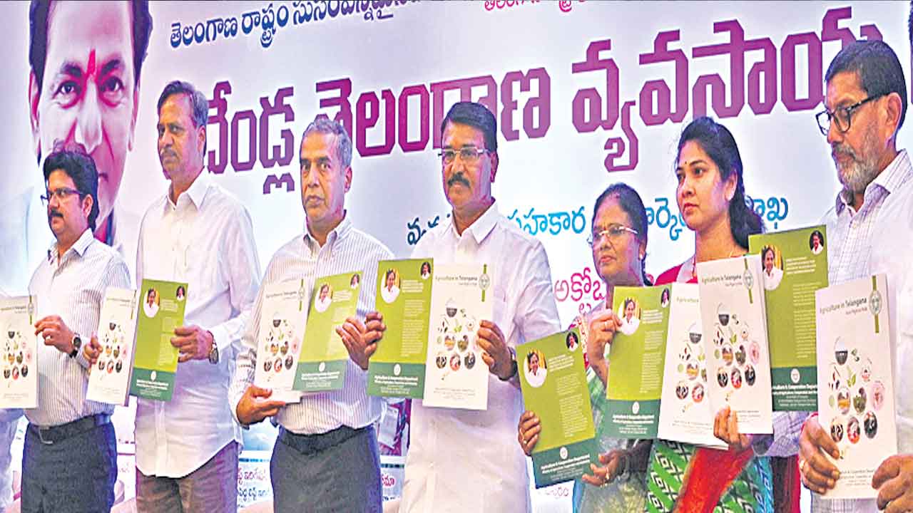 దేశ సాగుకు తెలంగాణే వేగుచుక్క